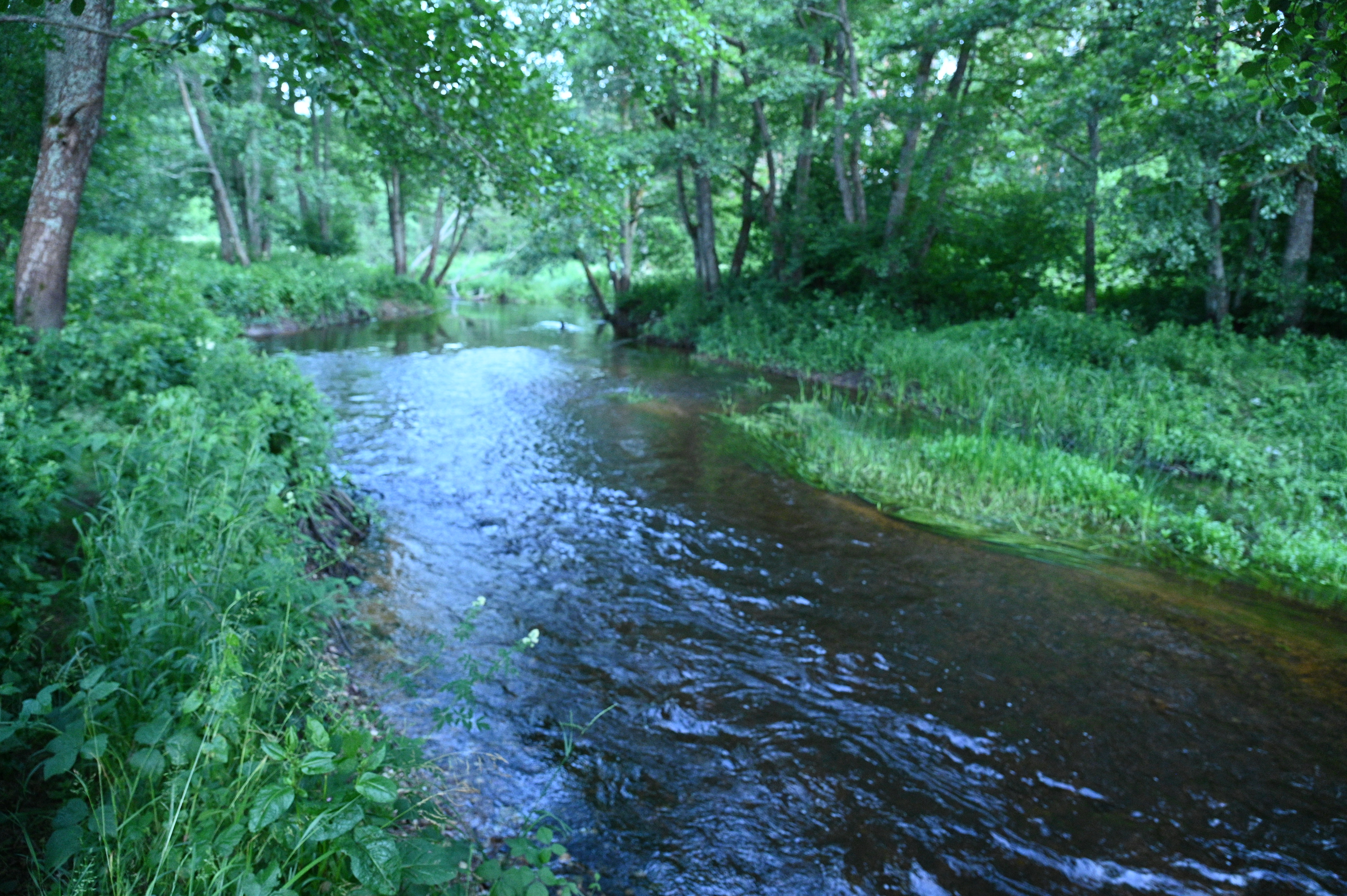 2025/07/09-14 - trip/DSC_0104.JPG